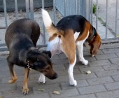 Pension_33