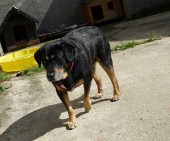 Pension_35