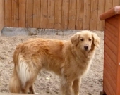 Pension_48