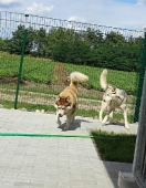 Pension_4