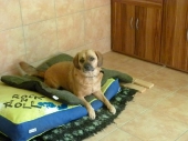 Pension_6