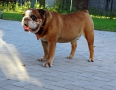 Pension_70