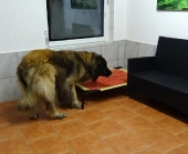 Pension_11
