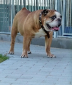 Pension_27