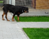 Pension_12