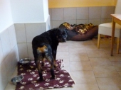 Pension_20