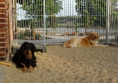 Pension_2