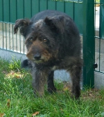 Pension_11