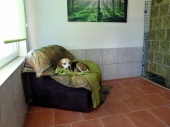 Pension_13