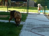 Pension_29