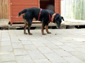 Pension_34