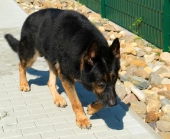 Pension_6