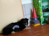 Pension_9