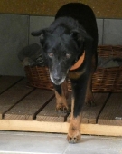 Pension_1