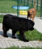 Pension_22