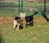 Pension_11
