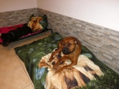 Pension_12
