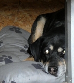 Pension_1