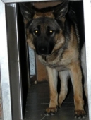 Pension_2