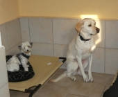 Pension_12