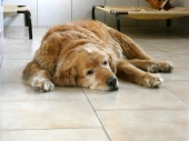Pension_22