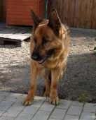 Pension_30