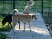 Pension_36