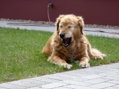 Pension_4