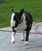 Pension_109