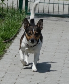 Pension_12