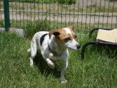 Pension_29
