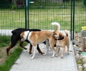 Pension_2
