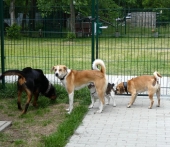 Pension_3