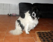 Pension_28
