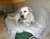 Pension_18