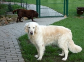 Pension_23