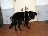 Pension_40