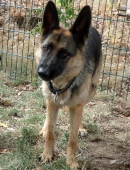 Pension_11