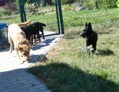 Pension_12