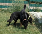 Pension_14