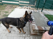 Pension_15