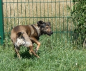 Pension_16