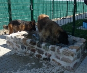 Pension_19