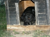 Pension_20