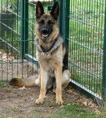 Pension_21