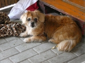 Pension_22