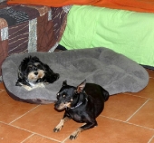 Pension_22