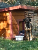 Pension_23