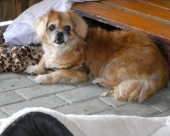 Pension_23