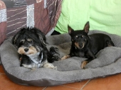 Pension_23